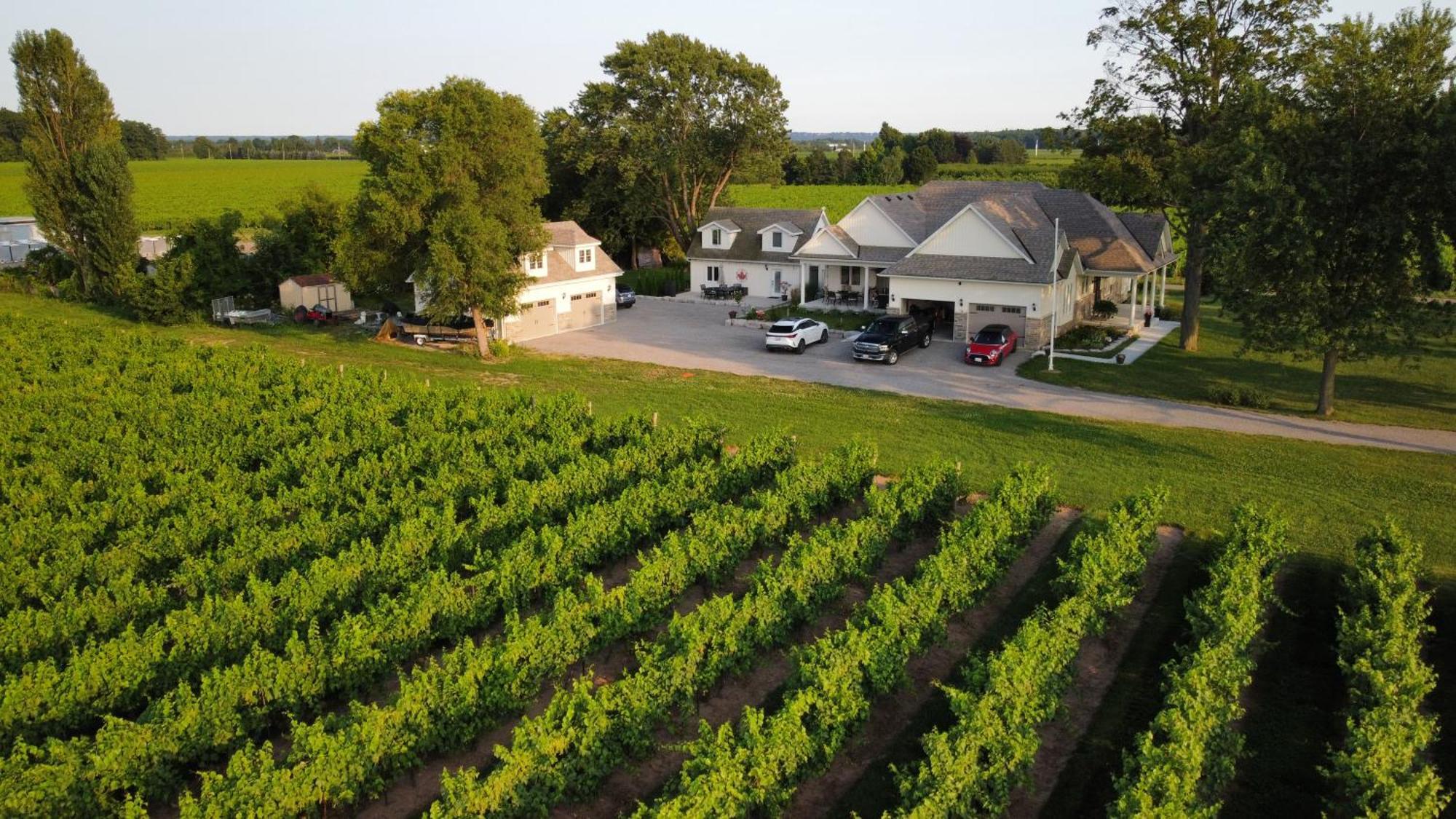 Villa In The Vines Niagara-on-the-Lake المظهر الخارجي الصورة
